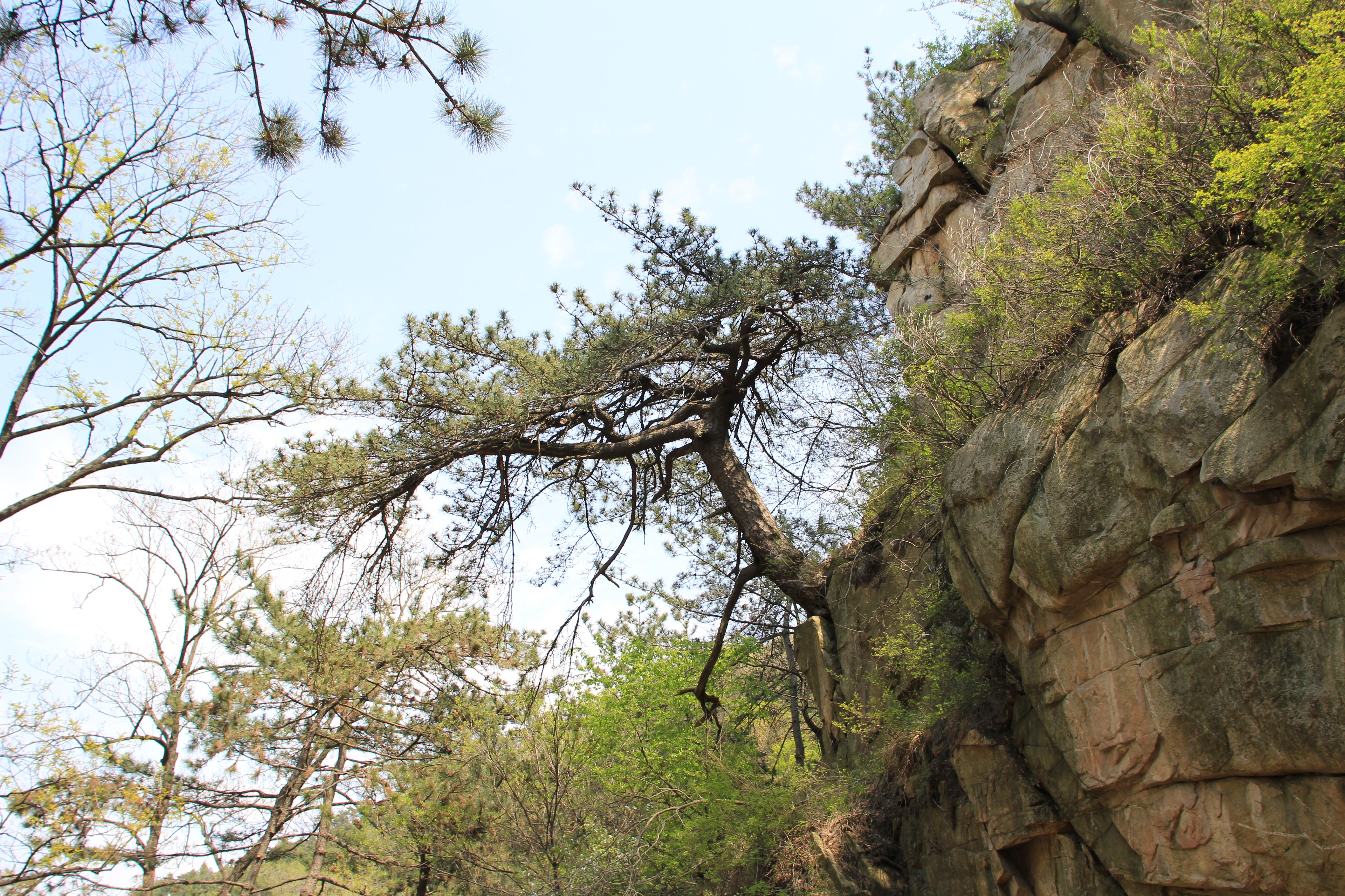 千山风景区管理委员会最新发展规划揭晓，塑造未来旅游新面貌