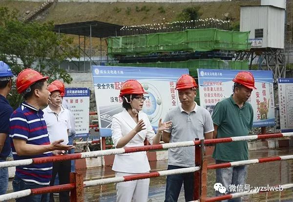 文成县水利局新项目助力县域水利建设迈向新台阶