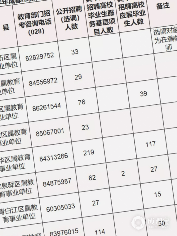 大安区特殊教育事业单位招聘启事，最新岗位信息概览