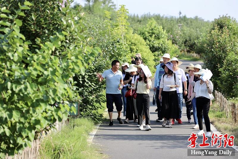 头堰村新任领导引领乡村开启繁荣新篇章