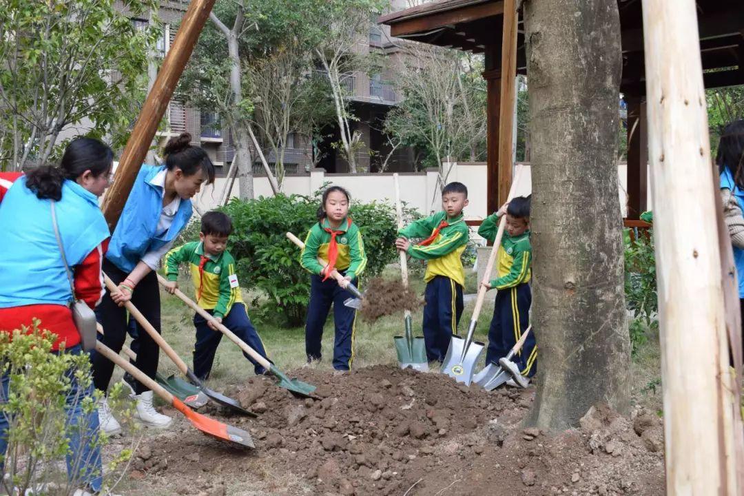 西区小学最新动态报道