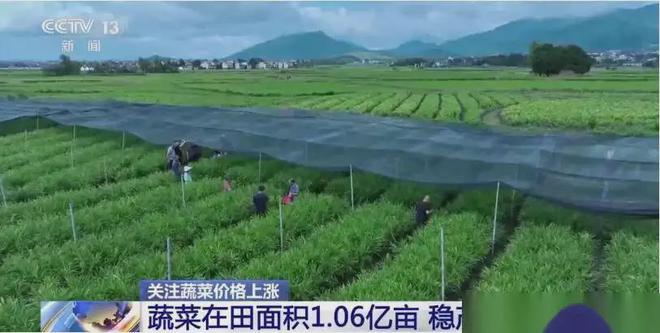 拉荣扎地村天气预报更新通知