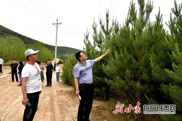 东华池林场交通新闻，道路改造升级与交通状况显著改善