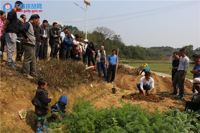 灵山县发展和改革局最新项目概览概览及进展动态