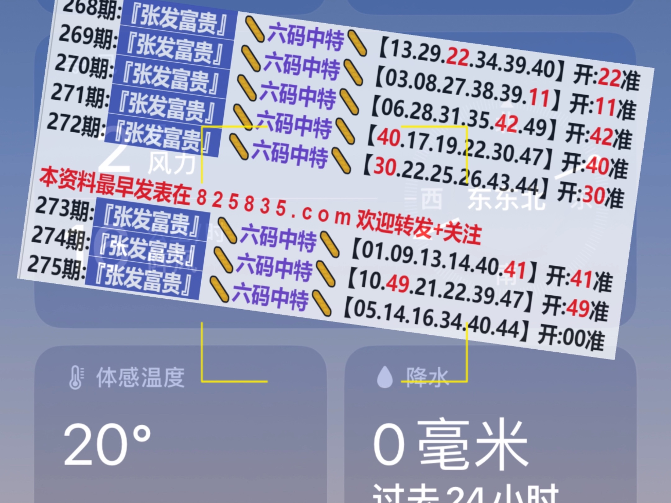 2024新奥门天天开好彩大全85期,标准化程序评估_专家版40.798