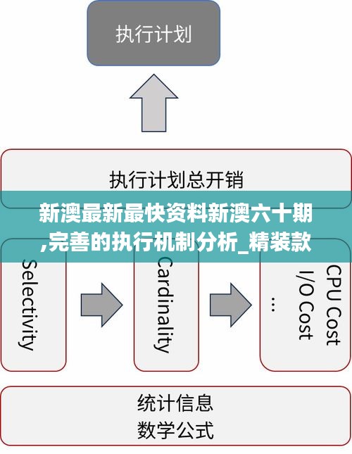 新澳精准资料,可靠执行策略_Executive87.310