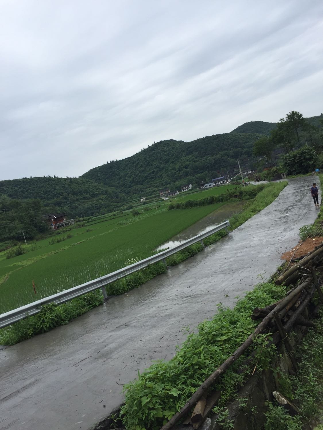 寿山乡天气预报更新通知