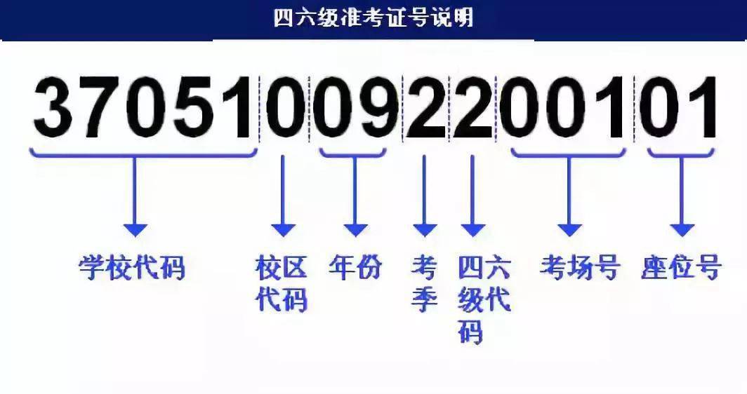 澳门4949最快开奖直播今天,快速解答计划设计_FHD版55.371