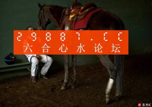 大三巴一肖一码中,快速问题处理策略_尊享版85.888