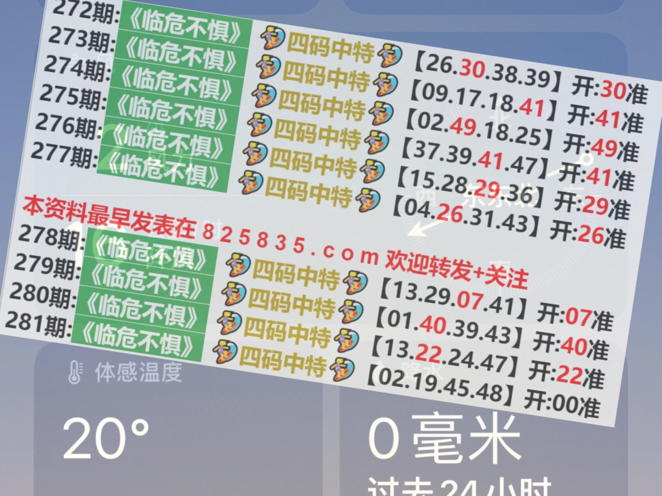 2024年新澳门王中王开奖结果,实地数据分析计划_4K版64.776