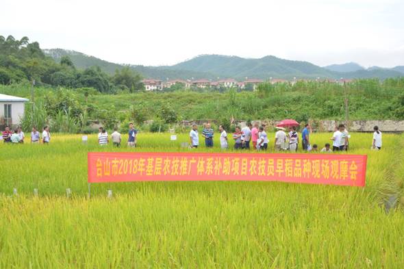 阳春市农业农村局新项目推动农业现代化助力乡村振兴