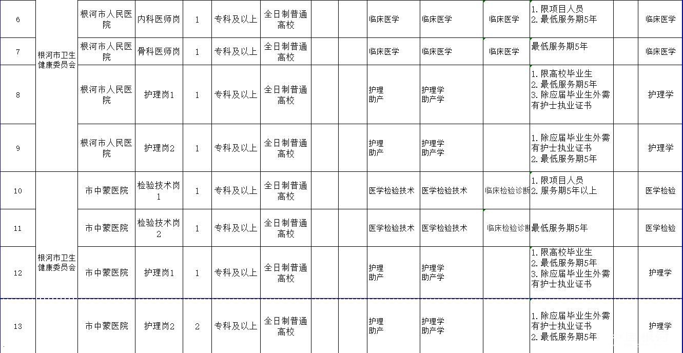 漠河县卫生健康局最新招聘公告概览