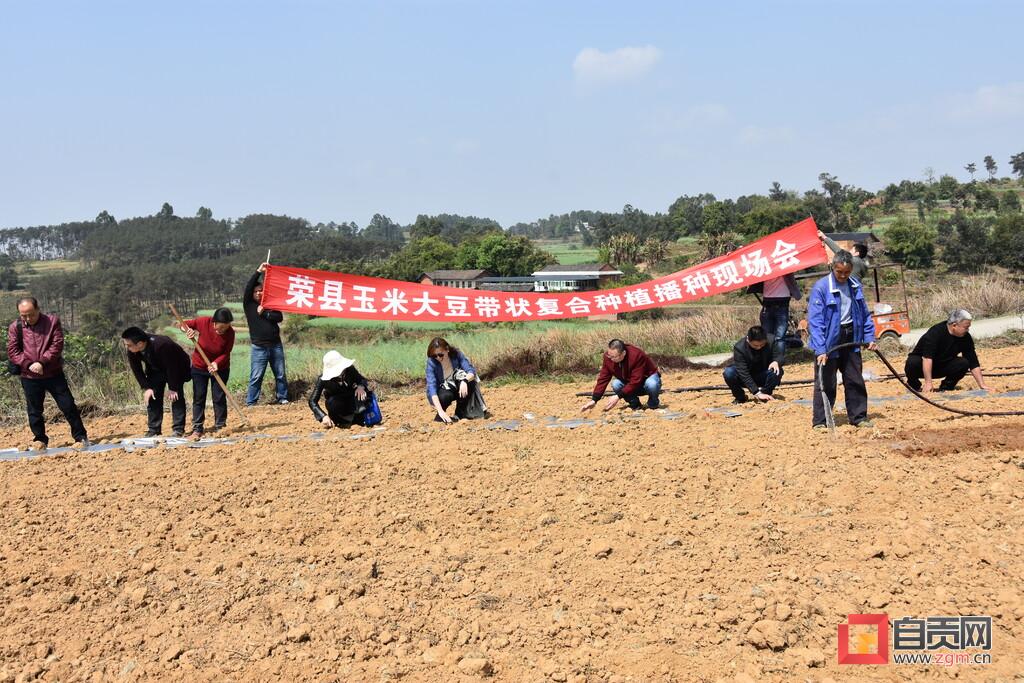 荣县住房和城乡建设局最新动态报告发布