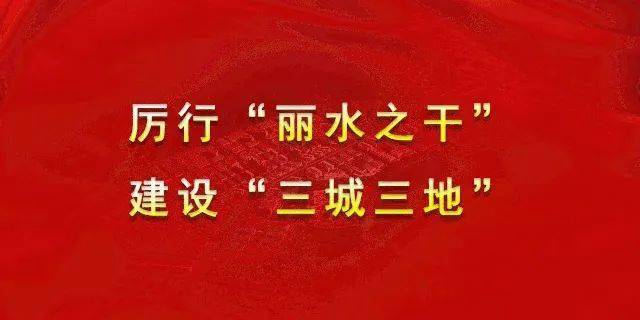 东方市文化局最新招聘信息与动态更新