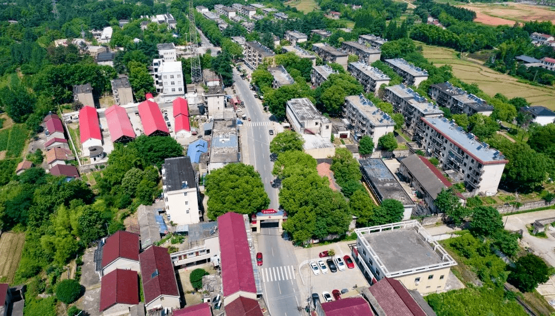 寨前乡未来蓝图，最新发展规划塑造乡村新面貌