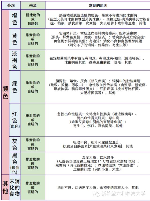 2024年12月15日 第82页