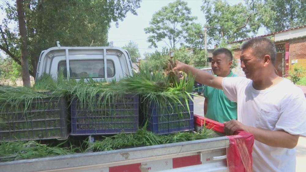 流年如花 第2页