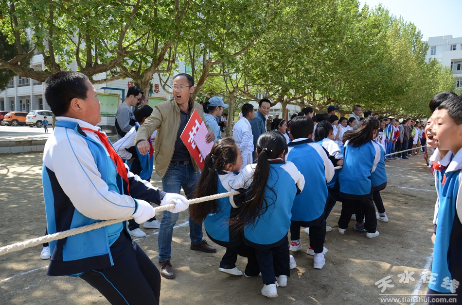 麦积区小学迈向新时代的校园变革与创新最新报道