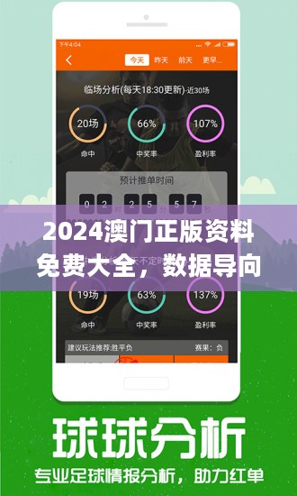 2024新澳精准资料免费提供网站,综合评估解析说明_限量款38.717