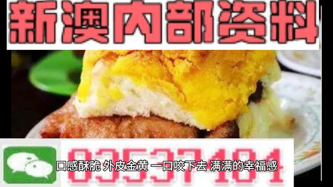 新澳内部资料最准确,动态解析词汇_微型版31.643