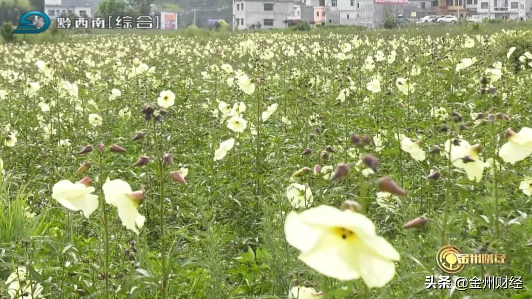 安龙县人力资源和社会保障局最新动态报道