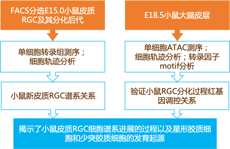 2024新奥精准资料免费大全,定性解读说明_yShop69.637