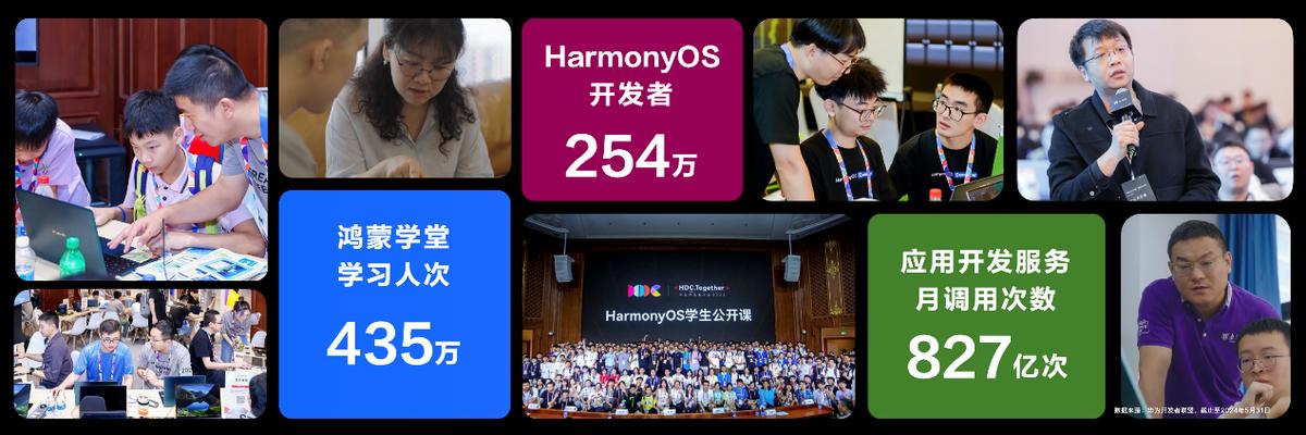 2024新奥资料免费精准天天大全,完整的执行系统评估_HarmonyOS41.320