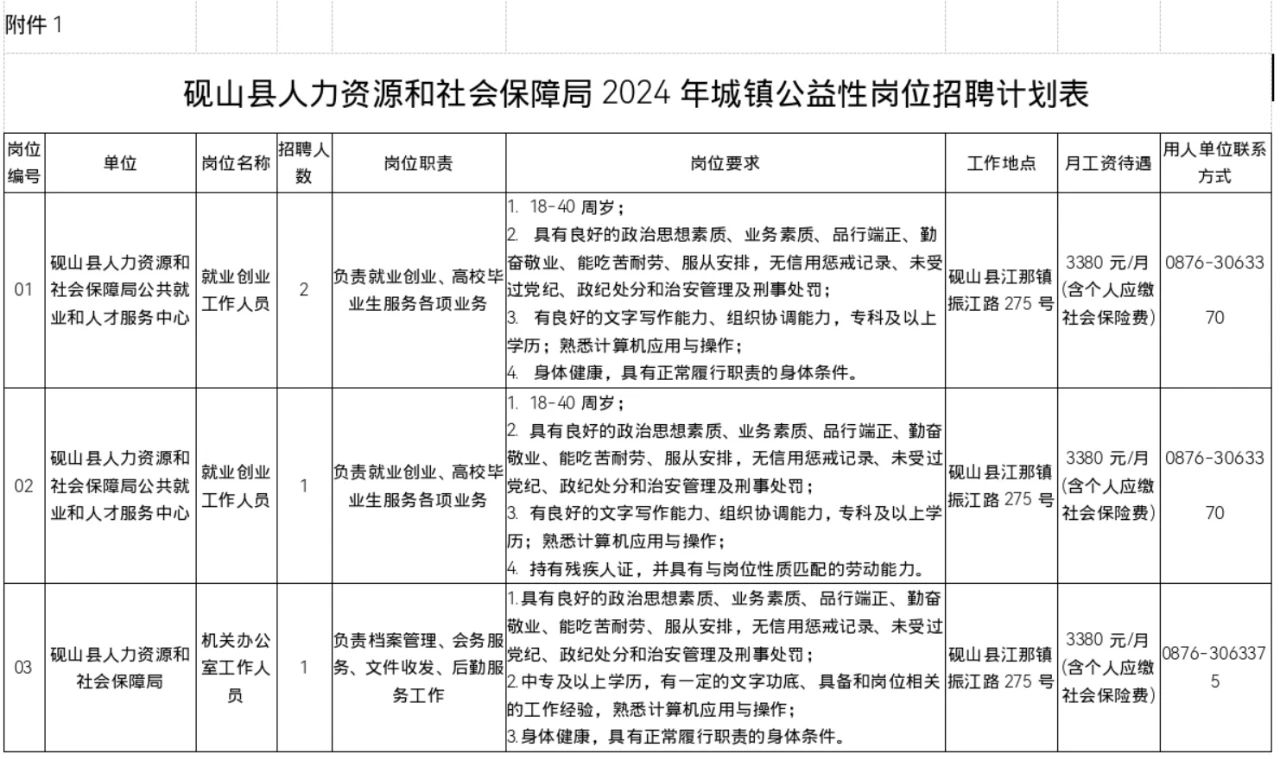 文山县人力资源和社会保障局最新招聘资讯概览