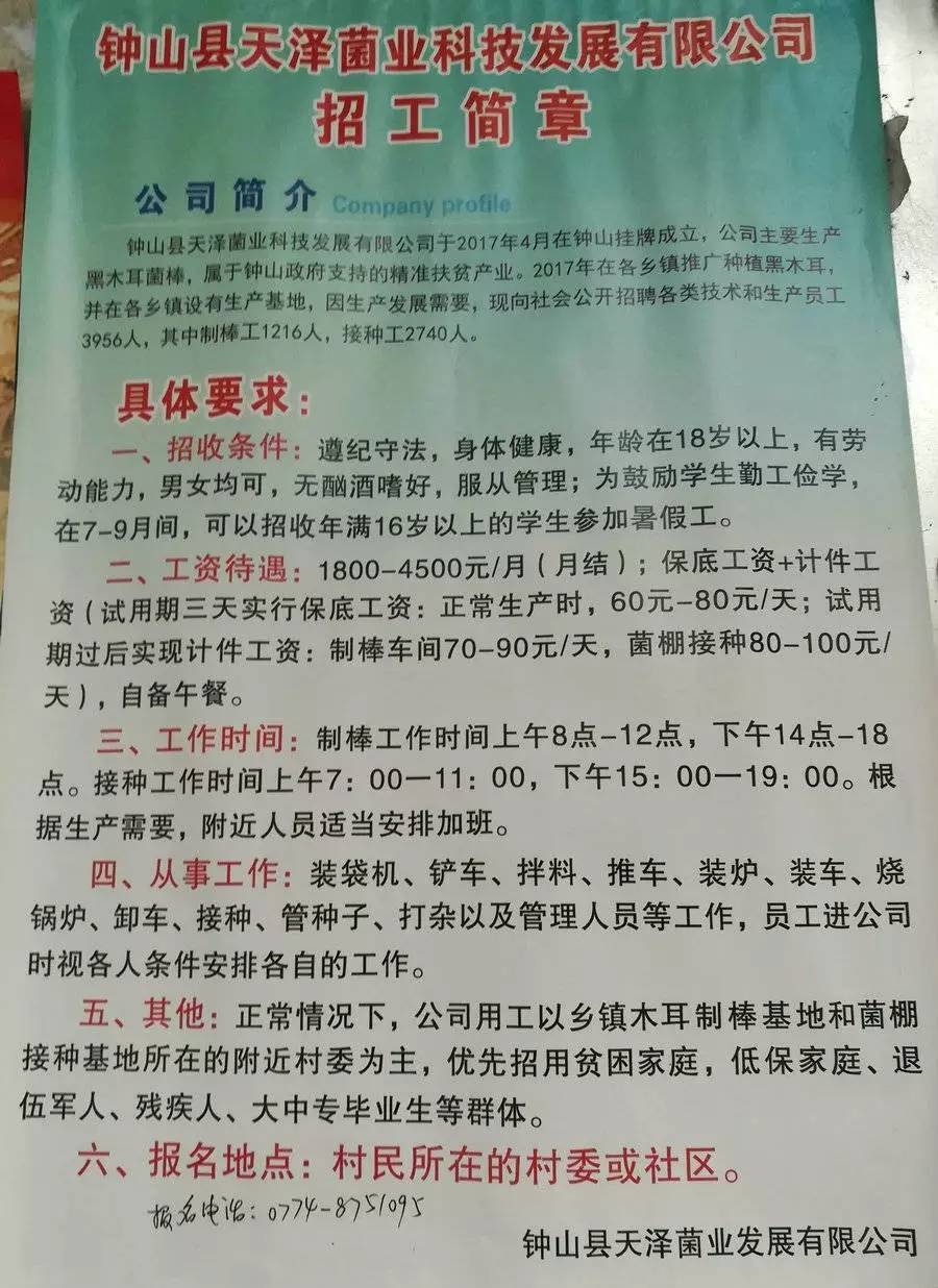 米洛村最新招聘信息全面解析