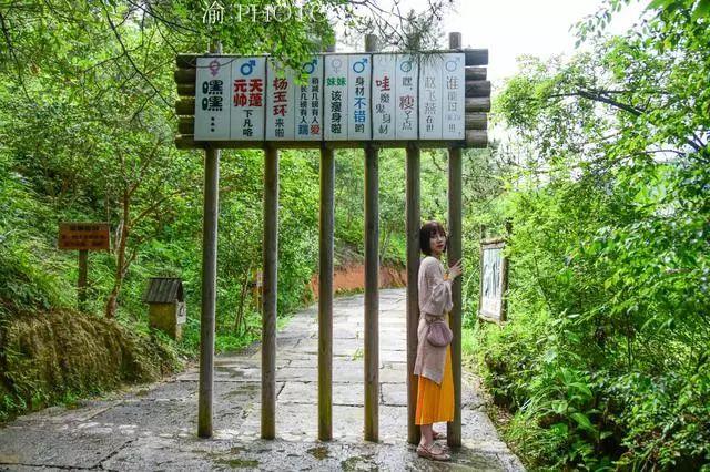 大有坊街道天气预报及气象分析最新报告