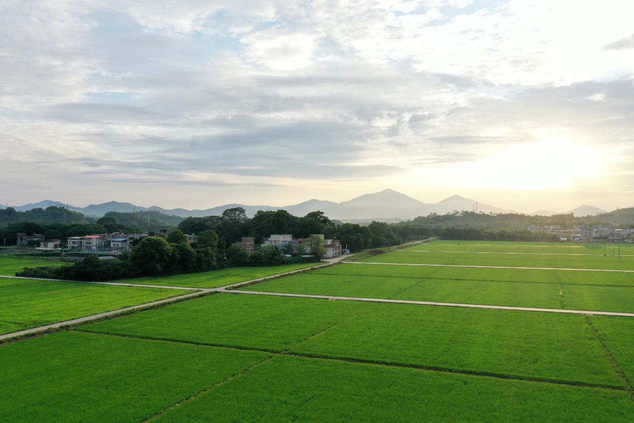 增城市文化广电体育和旅游局领导团队全新亮相，未来展望引人瞩目