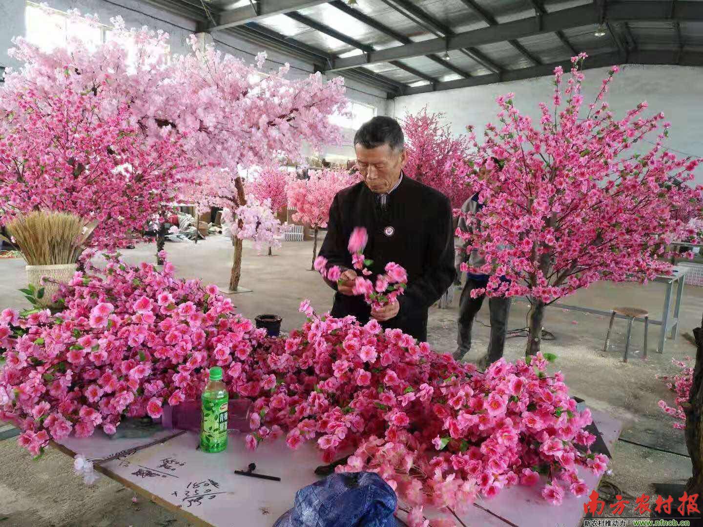 查干花种畜场最新消息概览