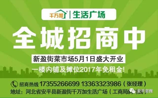 肥东县人力资源和社会保障局最新招聘信息汇总