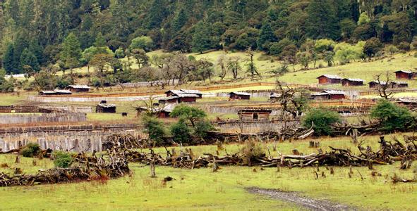 格吾村天气预报更新通知