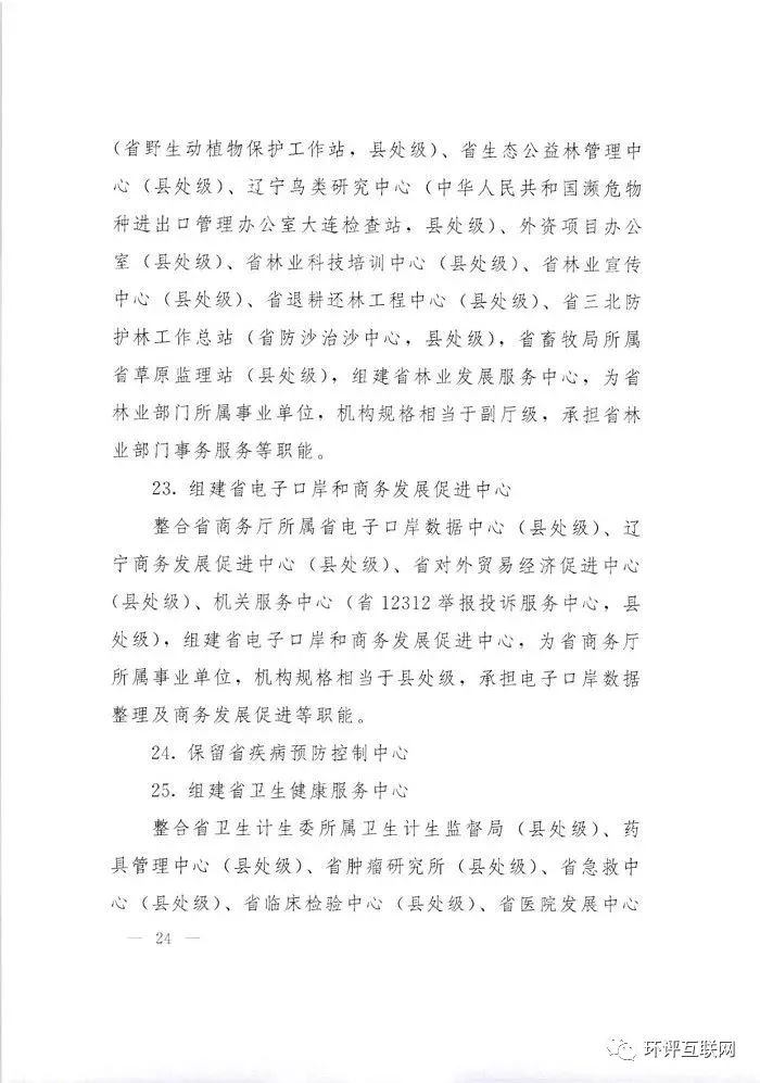 旌阳区康复事业单位发展规划探讨，未来路径与发展蓝图