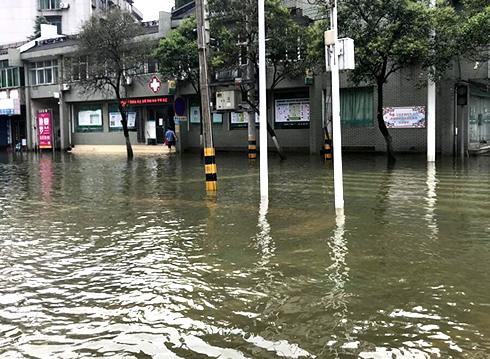 万全县医疗保障局最新动态更新报道